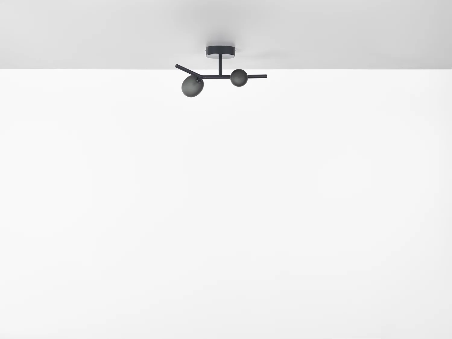 Brokis Ivy Ceiling — фото 2