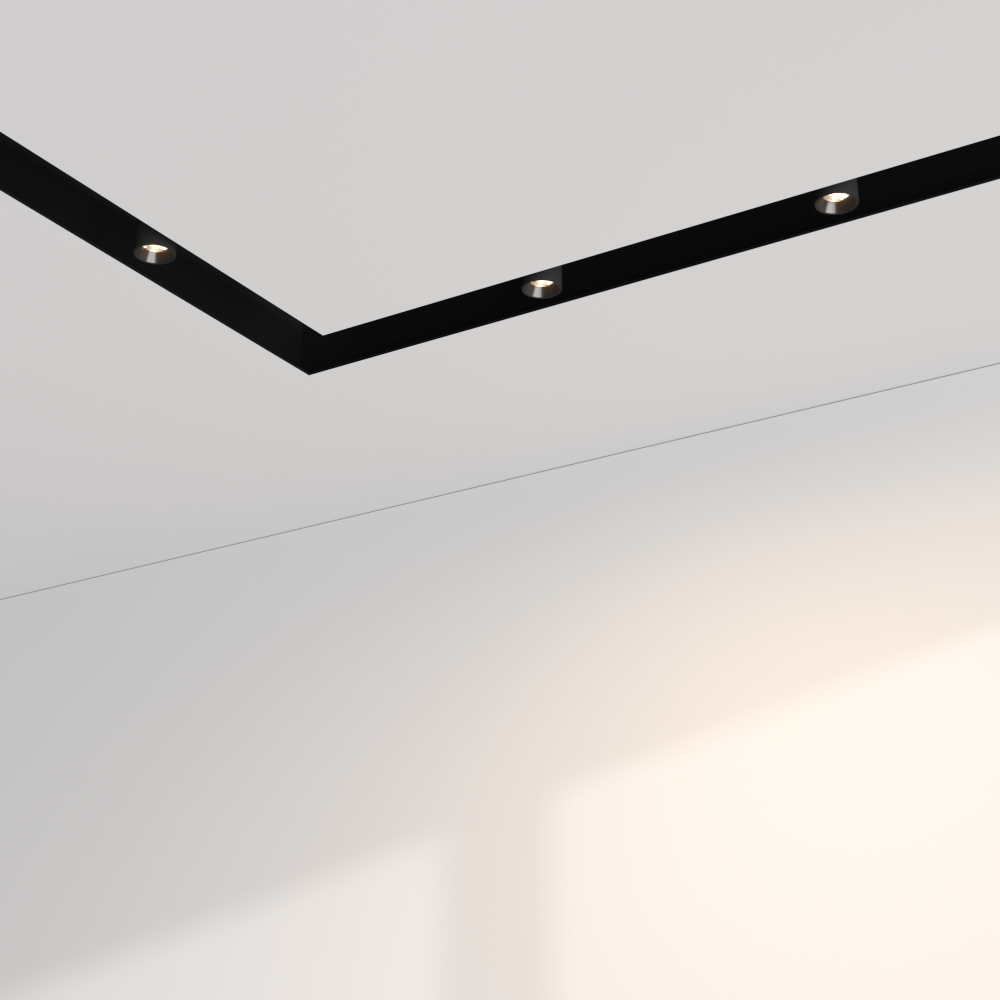 Prolicht Header — фото 2