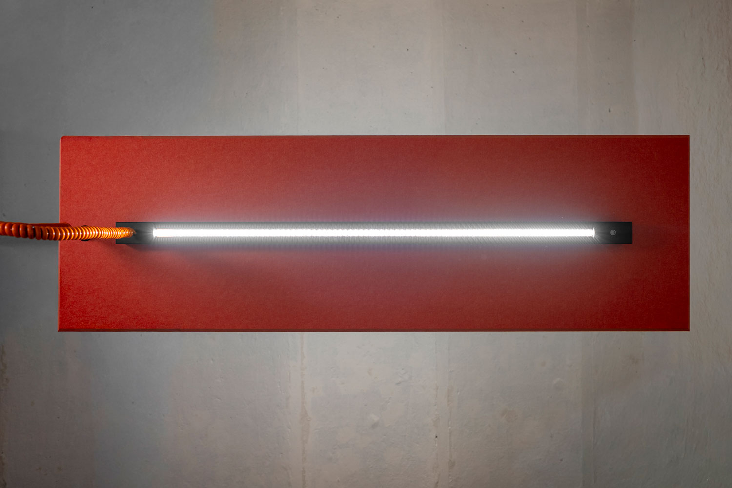 Prolicht Header — фото 4