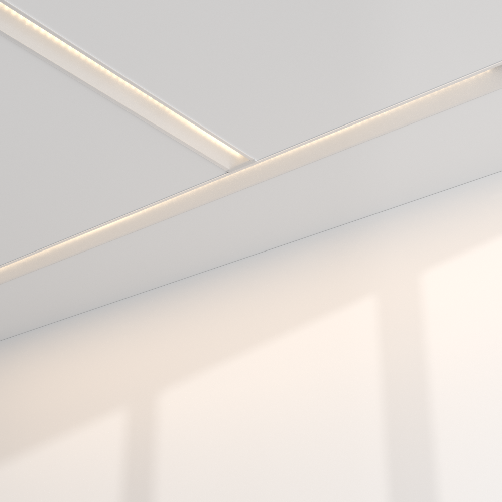 Prolicht Header — фото 2