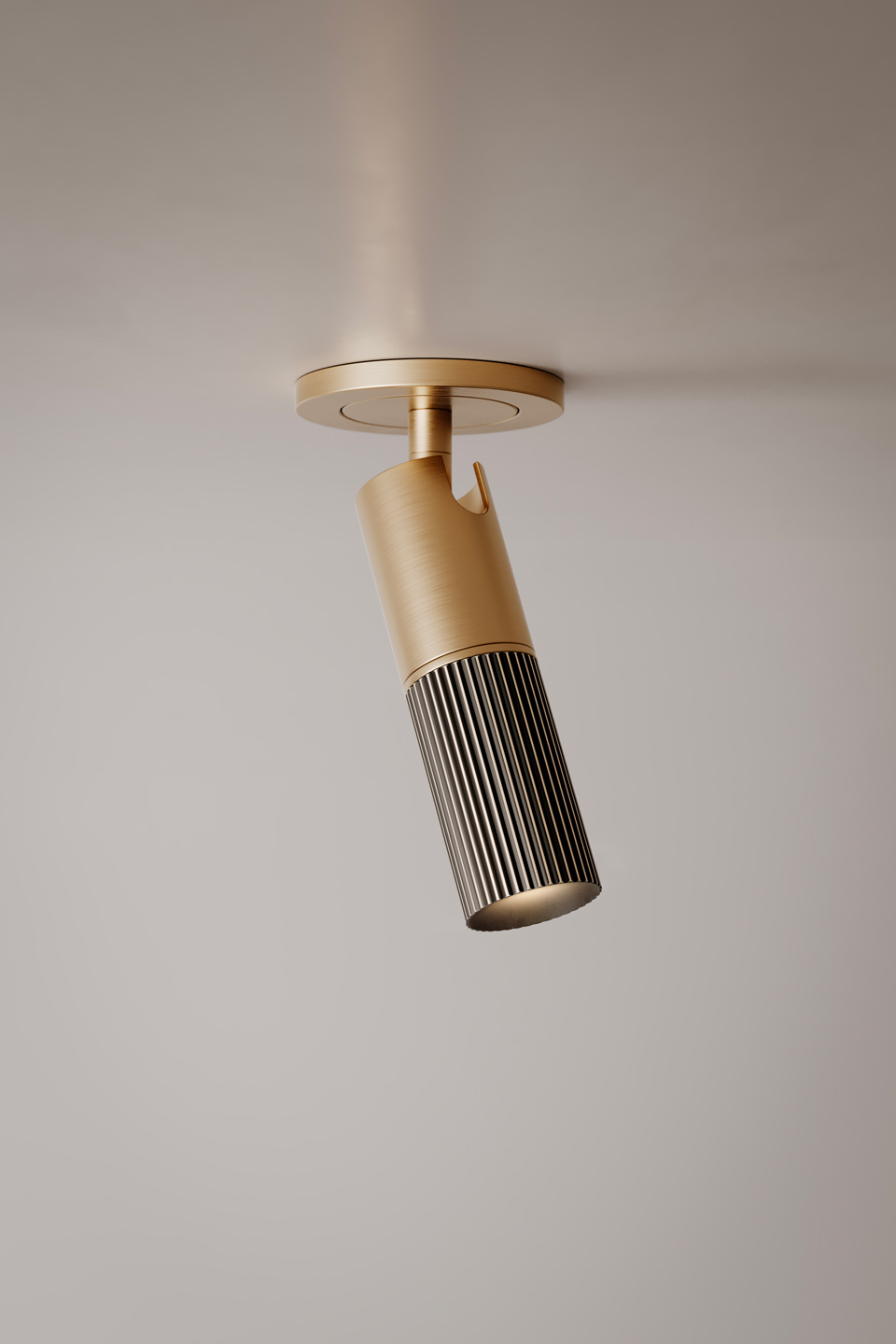 Beak Ceiling Wall