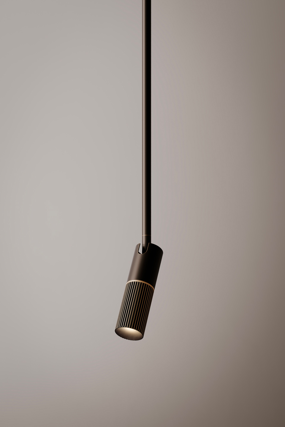 Beak Suspension