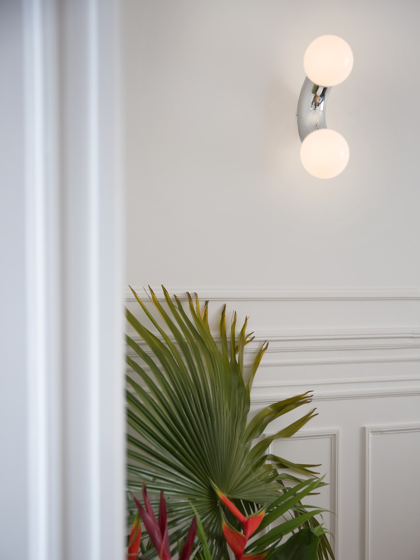 VINE CEILING/WALL