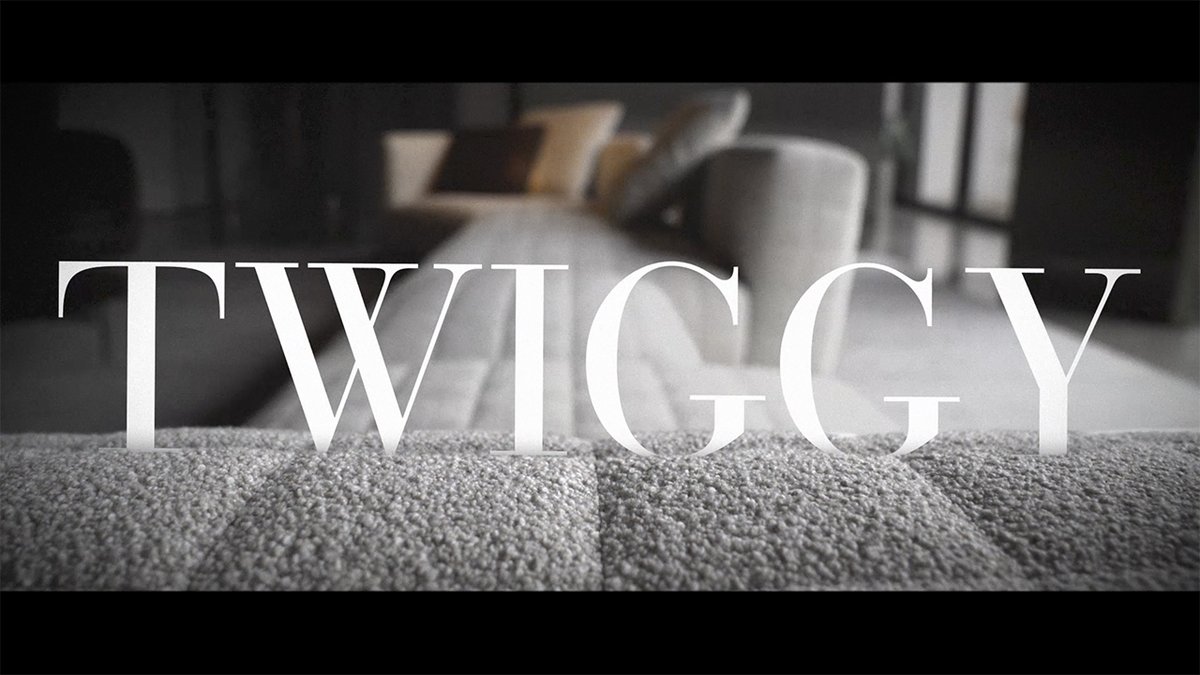 Twiggy Minotti — в интерьере